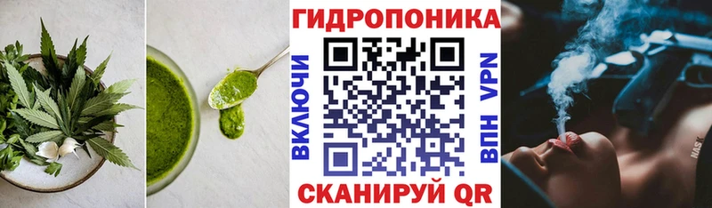 кракен как зайти  Кстово  Canna-Cookies конопля 