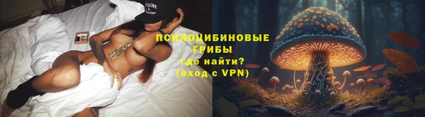 ECSTASY Богородск