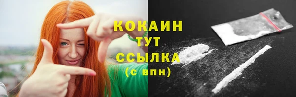 метадон Богданович