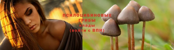 метамфетамин Сосновка