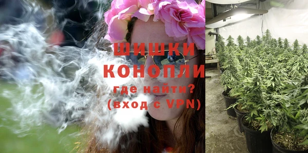 ECSTASY Богородск