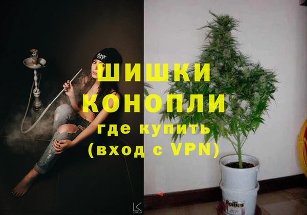 ECSTASY Богородск