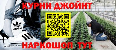 СК Конаково