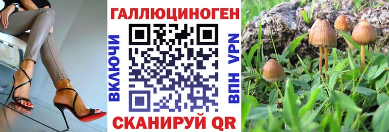 blacksprut tor  сайты даркнета наркотические препараты  Псилоцибиновые грибы ЛСД  Кстово 